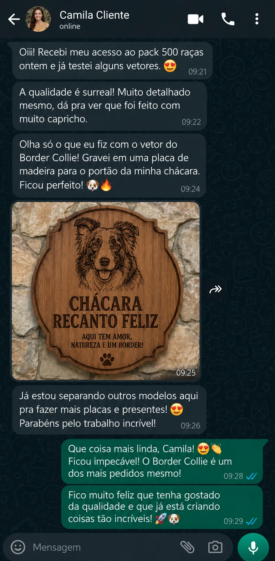 Depoimento Mulher 1
